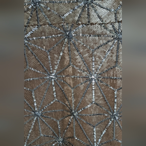 NWT STUNNING HARLYN DRESS - Picture 6 of 13